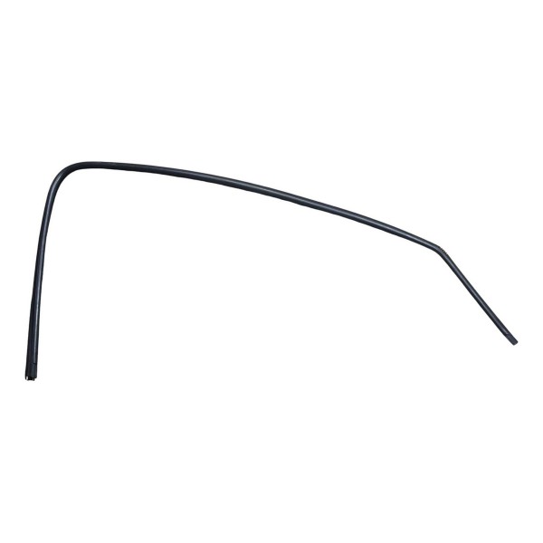 Borracha Canaleta Porta Dianteira Peugeot 206 2005 Direito