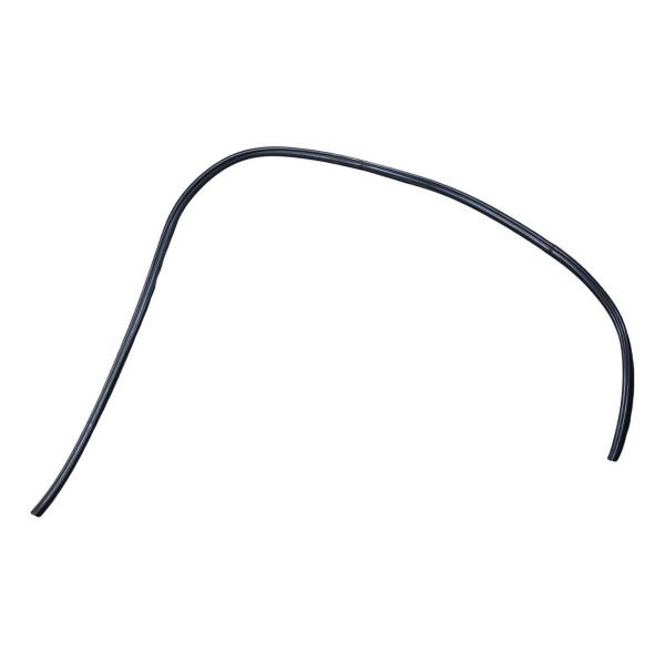 Borracha Canaleta Porta Traseira Peugeot 206 2005 Esquerdo