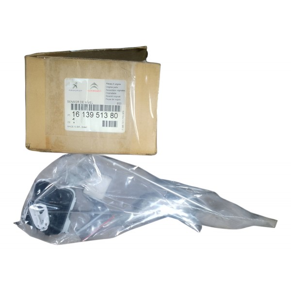 Boia Tanque Combustivel Peugeot 208 308 2008 1613951380