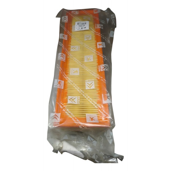 Filtro Ar Motor Peugeot 207 Hoggar 1.4 8v 1444sp Original