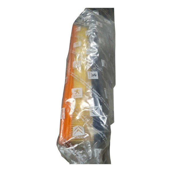 Filtro Ar Motor Peugeot 207 Hoggar 1.4 8v 1444sp Original