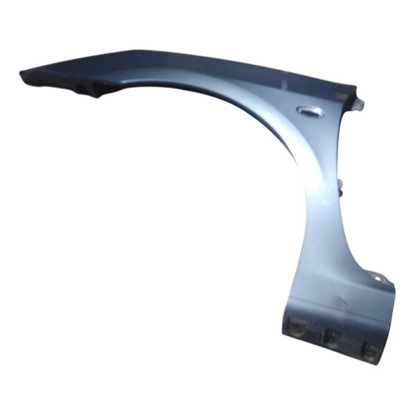 Paralama Dianteiro Esquerdo Peugeot 307 2006