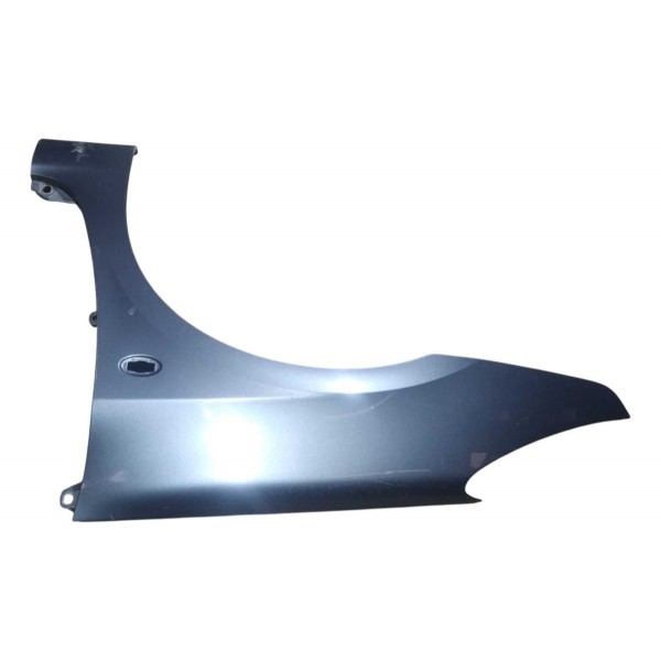 Paralama Dianteiro Esquerdo Peugeot 307 2006