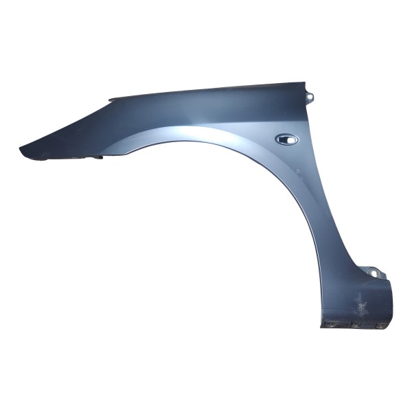 Paralama Dianteiro Esquerdo Peugeot 307 2006