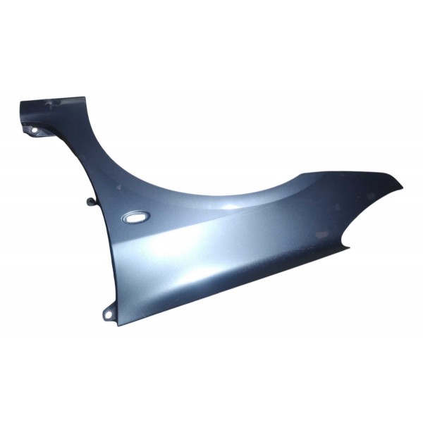 Paralama Dianteiro Esquerdo Peugeot 307 2006