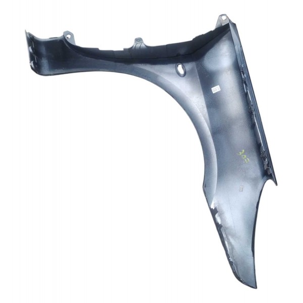 Paralama Dianteiro Esquerdo Peugeot 307 2006