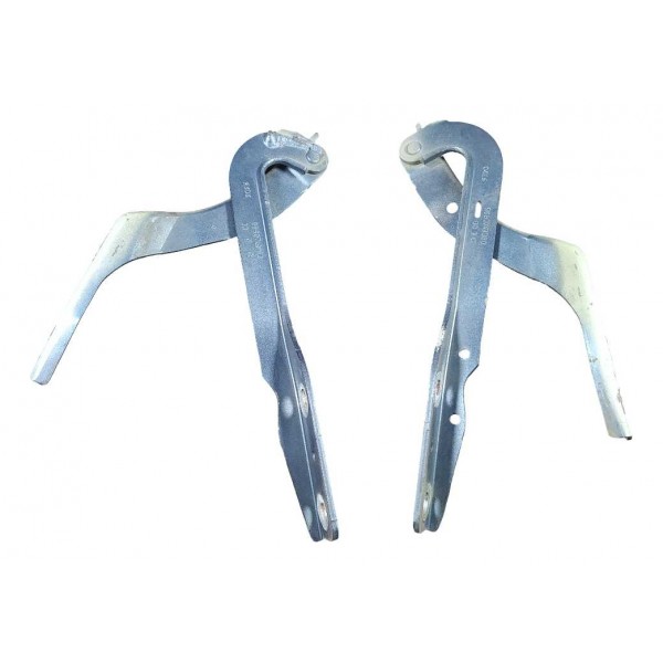 Dobradica Capo Peugeot 307 Sedan 2007 Par